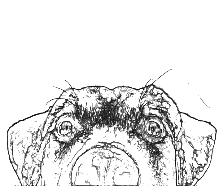 custom colouring sheets for children