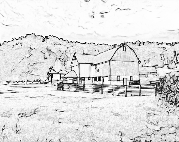 personal colouring book from photos