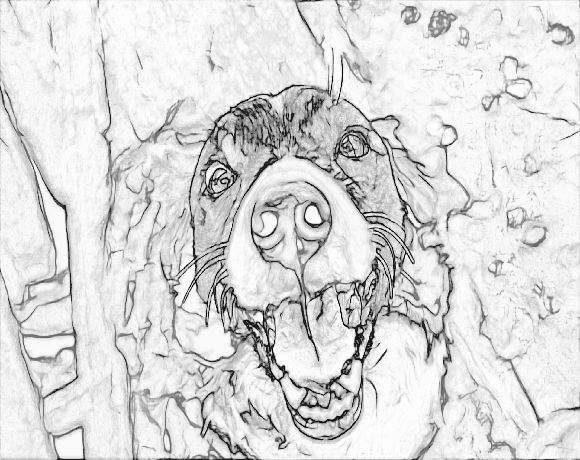 custom colouring sheets from pictures