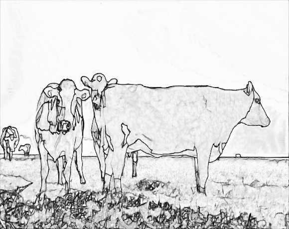 create personalised colouring sheets baby pictures