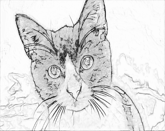 upload personal photos create colouring sheets