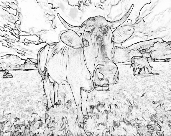 personal colouring books gift