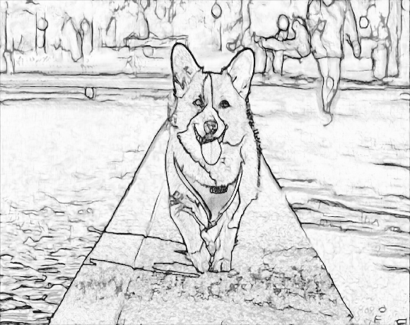 transform photos of pets into colouring book