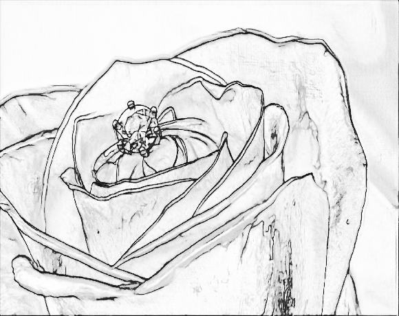 transform special moments into colouring sheets